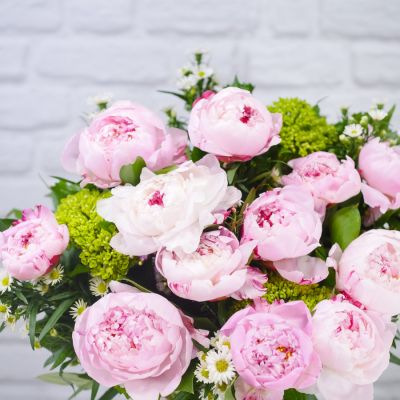 Mary Frances
