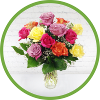 Super Colorful Dozen Roses - Valentine's Day Bouquet