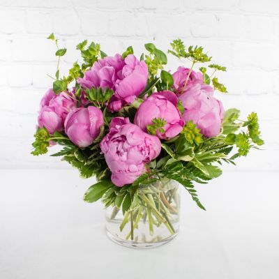 Lovely Peony Special
