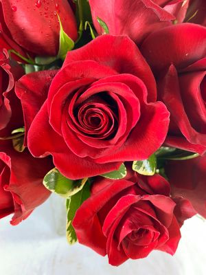 Red Rose Special