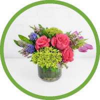 Spring Jewels