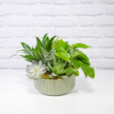 Green Scene