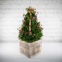 Traditional Boxwood Tree