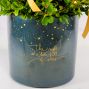 Christmas Wishes Boxwood Tree