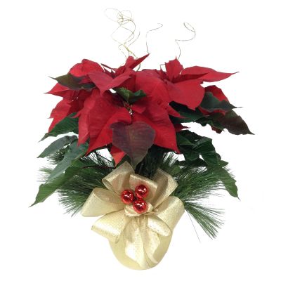 Poinsettia in Gold Pot