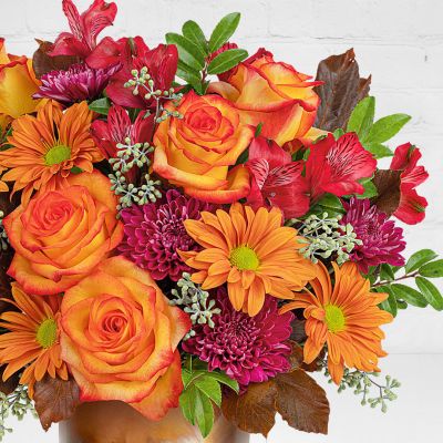 Harvest Blooms
