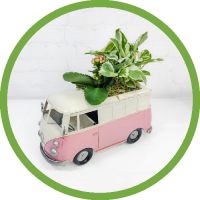Planter “On the Go”