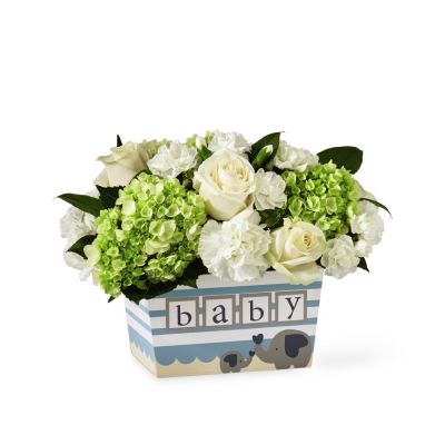 FTD Darling Baby Boy Bouquet