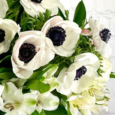 20 Stem Anemone Bouquet