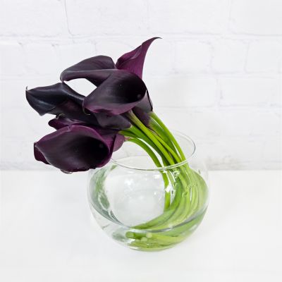 Midnight Calla Lilies