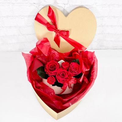 Forever Love in White Vase (Preserved Roses)
