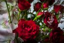 Burst of Love Bouquet