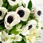 20 Stem Anemone Bouquet