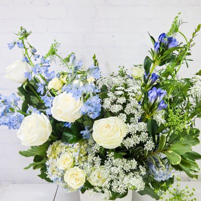 Blue Harmony