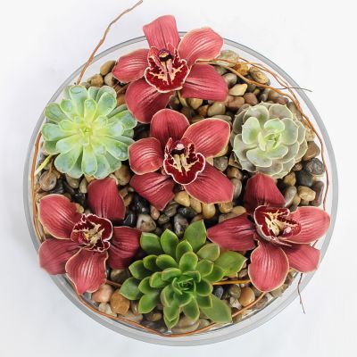 Zen Succulent Garden