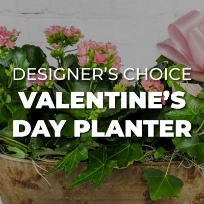 Designer's Choice Valentine's Day Planter