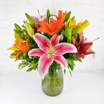 Lilies Galore