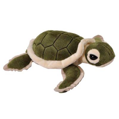 Squirt Turtle Plush