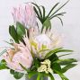 King Protea Special