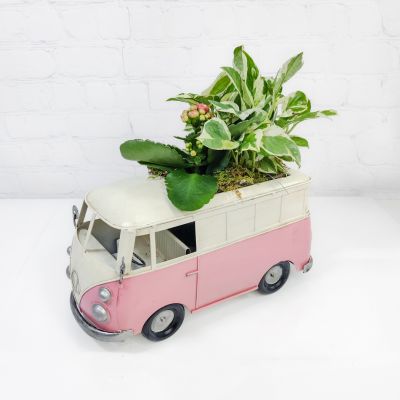 Planter “On the Go” - Valentine's Day Bouquet
