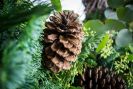 Rustic Holiday Wreath