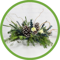 Enchanting Evergreens