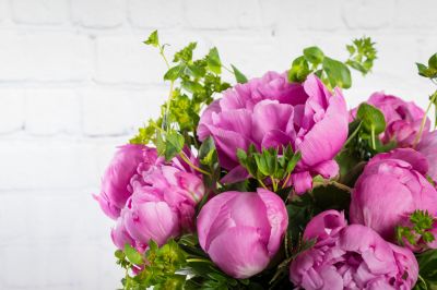 Perfectly Peony - Preorder Only