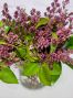 Lilacs in Love