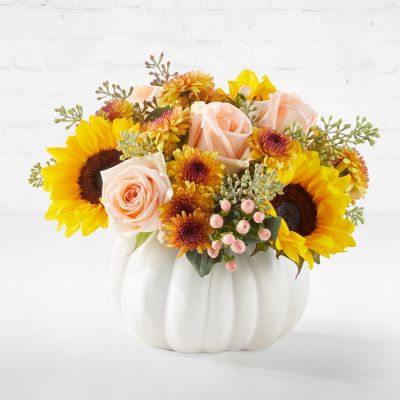 Pumpkin to Talk About