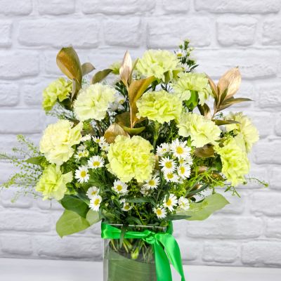 Shamrock Shine