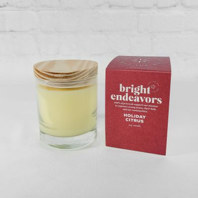 Bright Endeavors Candle - Holiday Citrus