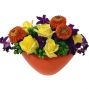 Vibrant Blooms