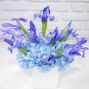 Iris Skies