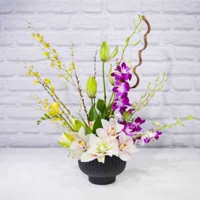 Orchids In Vogue