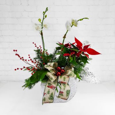 Holiday Orchid Planter With Red Poinsettia