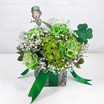 Lucky Leprechaun