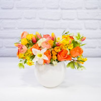 Citrus Bliss