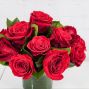 Red Rose Special