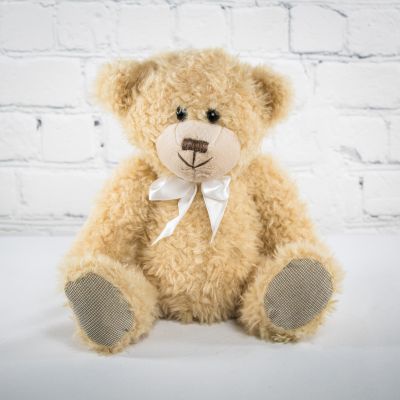 Winnie Bear 