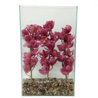 Tall Orchids & Stones