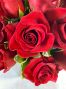 Red Rose Special