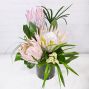 King Protea Special