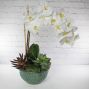 Eternal Blooms Deluxe - Faux Orchid Planter