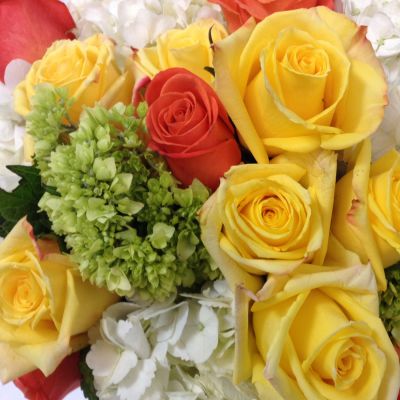 Roses & Hydrangea Bouquet