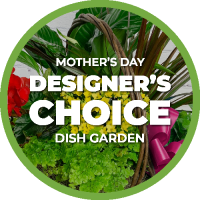 Mother's Day Designer's Choice Dish Garden