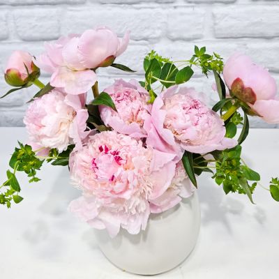 Peony Special