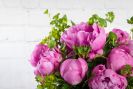 Perfectly Peony - Preorder Only