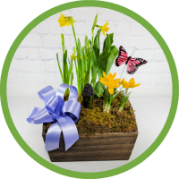 Spring Bulb Garden