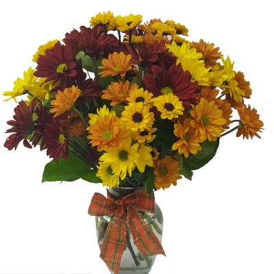 Fall Daisies Special