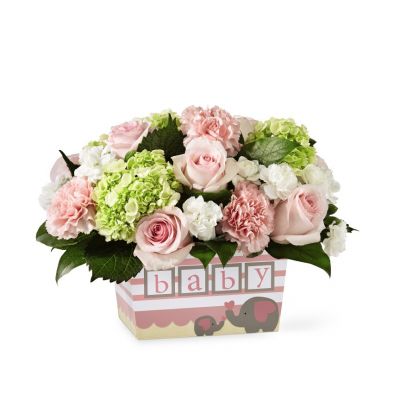 FTD Darling Baby Girl Bouquet